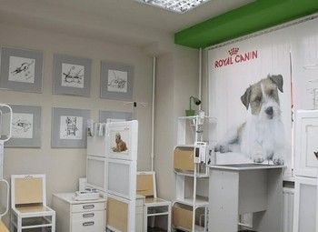 Фото Ветеринарная клиника с сотрудниками