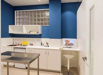 Прибыльная ветеринарная клиника / 2 года работы 