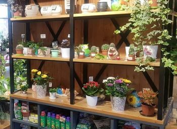 Студия цветов в современном ЖК / Растущая прибыль