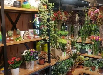 Студия цветов в современном ЖК / Растущая прибыль