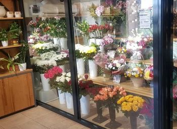 Студия цветов в современном ЖК / Растущая прибыль