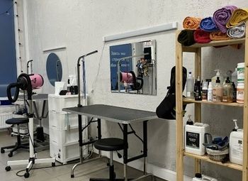 Фото 3 Грумминг в густонаселённом районе города