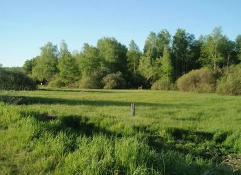 Земля промышленного назначения под производство / Собственность