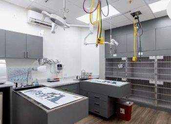 Ветеринарная клиника/груминг