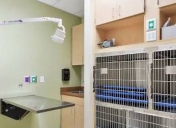 Ветеринарная клиника/груминг