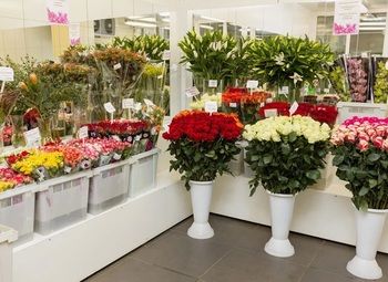 Фото 2 Цветочный магазин в Красном селе без конкурентов