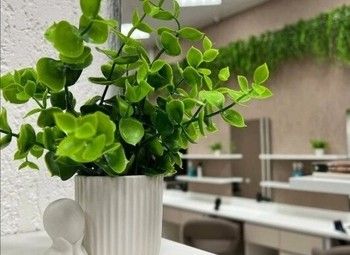 Фото 3 Автономная студия красоты/ окупаемость 15 месяцев