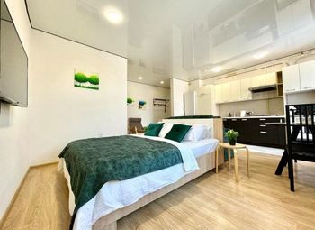 Апартаменты / 5 оборудованных студий / центр 