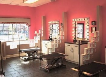 Фото 3 Груминг салон в спальном квартале без конкурентов