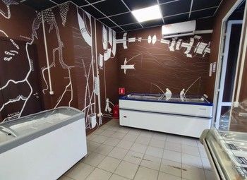 Фото Прибыльный рыбный магазин. 13 лет работы