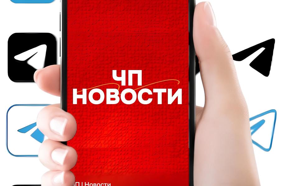 Фото 1 Телеграмм-канал ЧП Новости / Окупаемость 10 месяцев