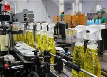 Производство бытовой химии/В2В сегмент