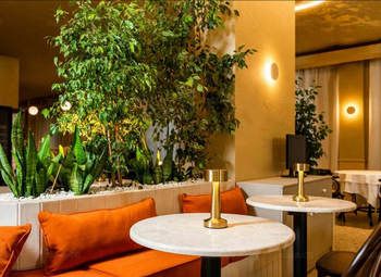 Фото 2 Ресторан авторской кухни на Петроградской стороне