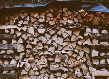 Очень прибыльный бизнес на продаже дров. В сезон до 1 000 000 в месяц.