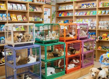 Зоомагазин и зоосалон
