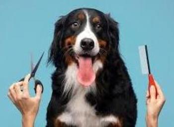 Фото 1 Салон уход для животных