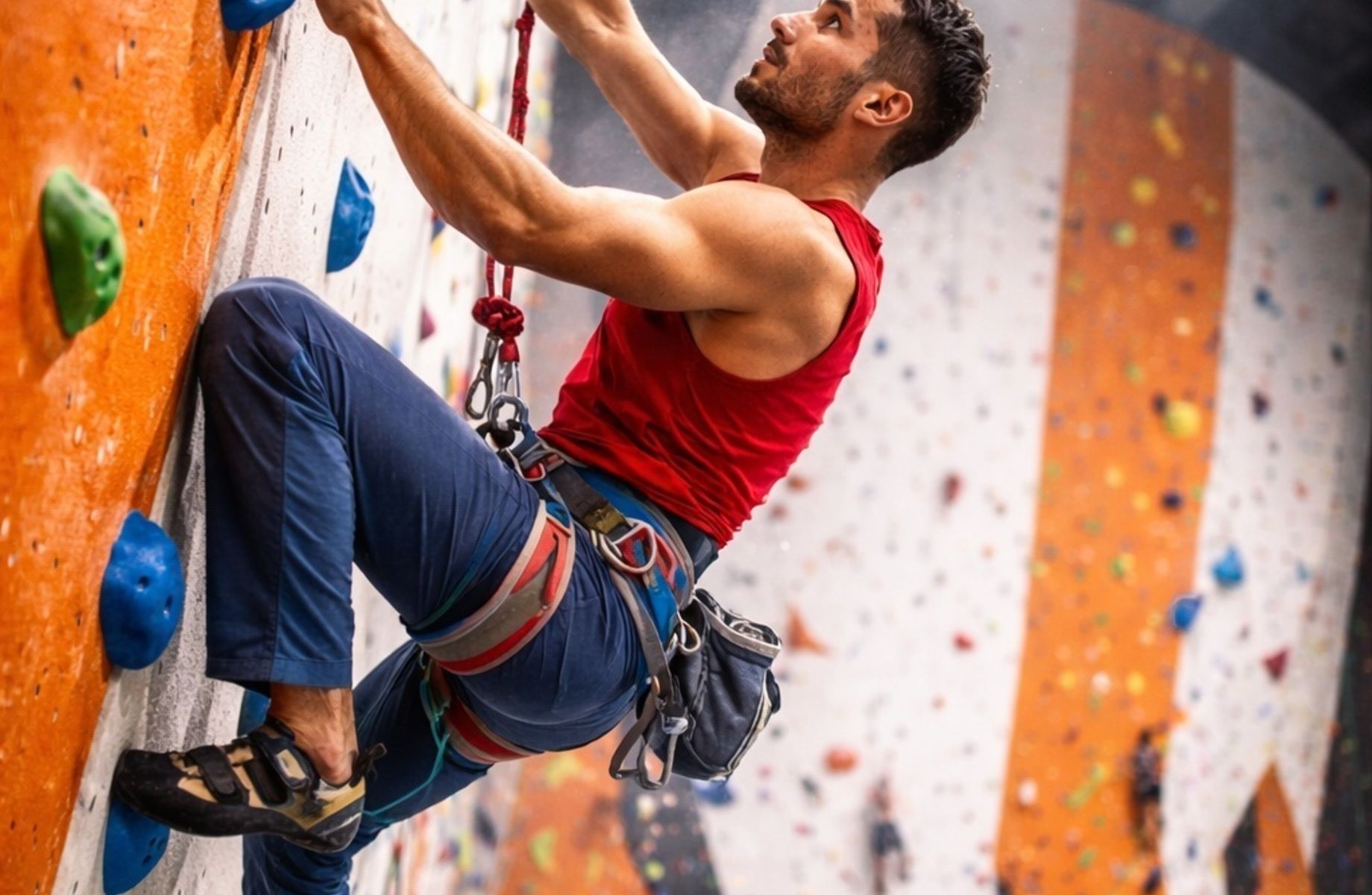 Популярный и крупный Скалодром с пассивным доходом более 1,6 млн в мес