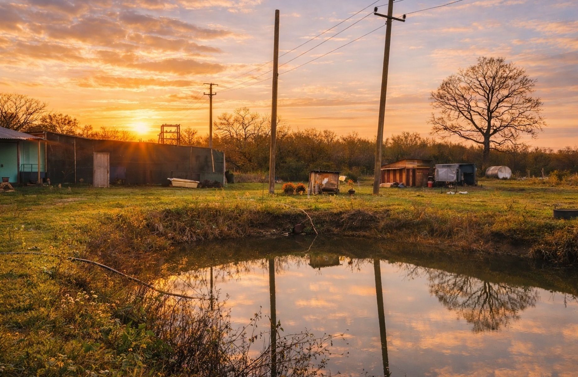 Виноградник под винодельню в Краснодарском крае