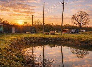 Фото 4 Виноградник под винодельню в Краснодарском крае