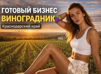 Фото 1 Виноградник под винодельню в Краснодарском крае