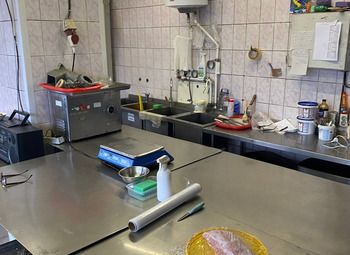 Столовая с большой производственной зоной/438 м2