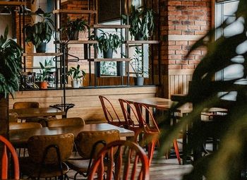 Ресторан в проходимом месте в 5 мин. от м. Ладожская