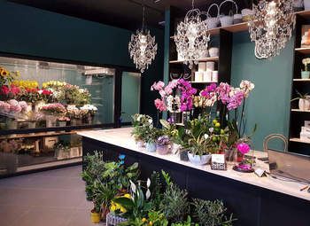Фото 1 Премиальный салон цветов и декора. Прибыль от 1 млн в мес
