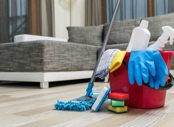 Клининговая компания с чистой прибылью 2 млн рублей 