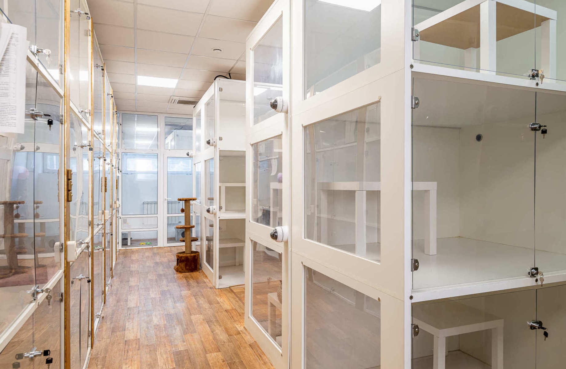 Зоогостиница в Москве