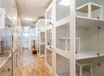 Фото 4 Зоогостиница в Москве