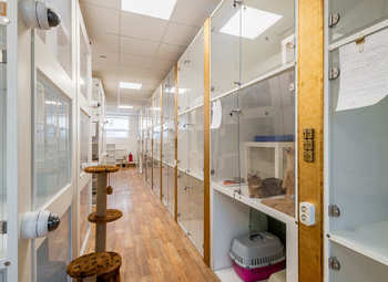 Фото 3 Зоогостиница в Москве