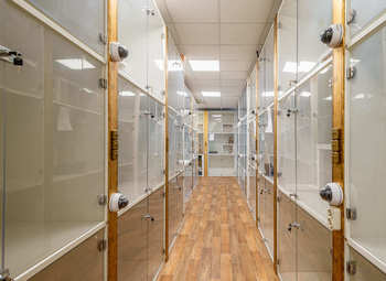 Фото 2 Зоогостиница в Москве