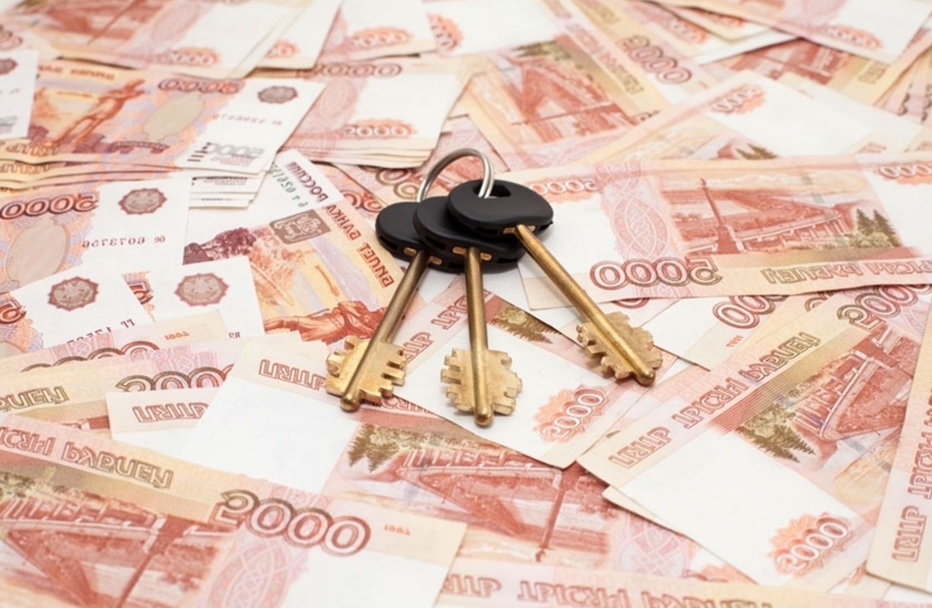 Бизнес с пассивным доходом