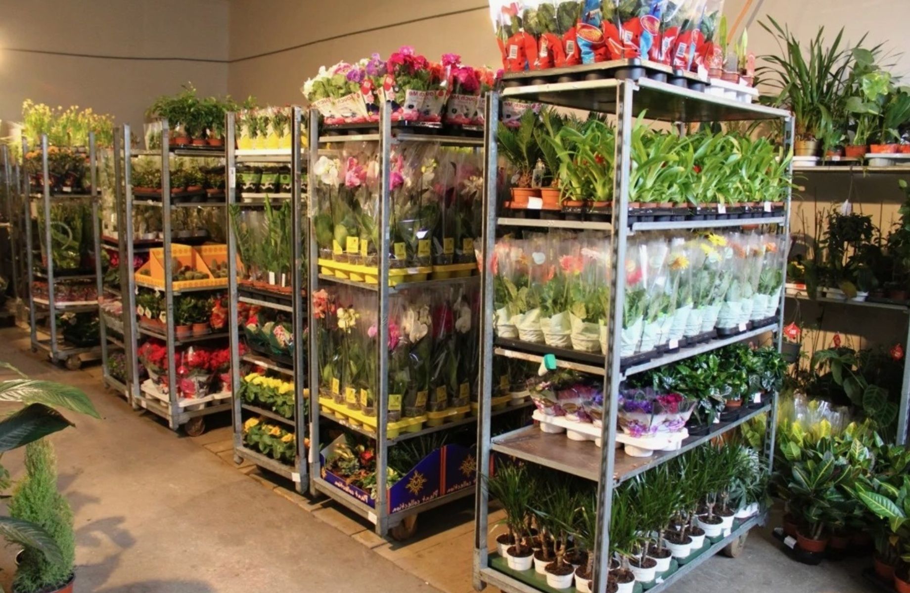 Цветочный бизнес с прибылью 1 млн в месяц