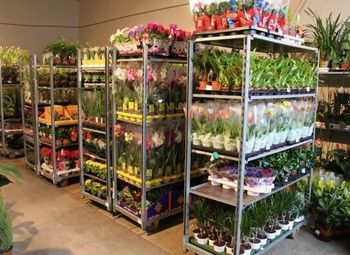 Фото 2 Цветочный бизнес с прибылью 1 млн в месяц