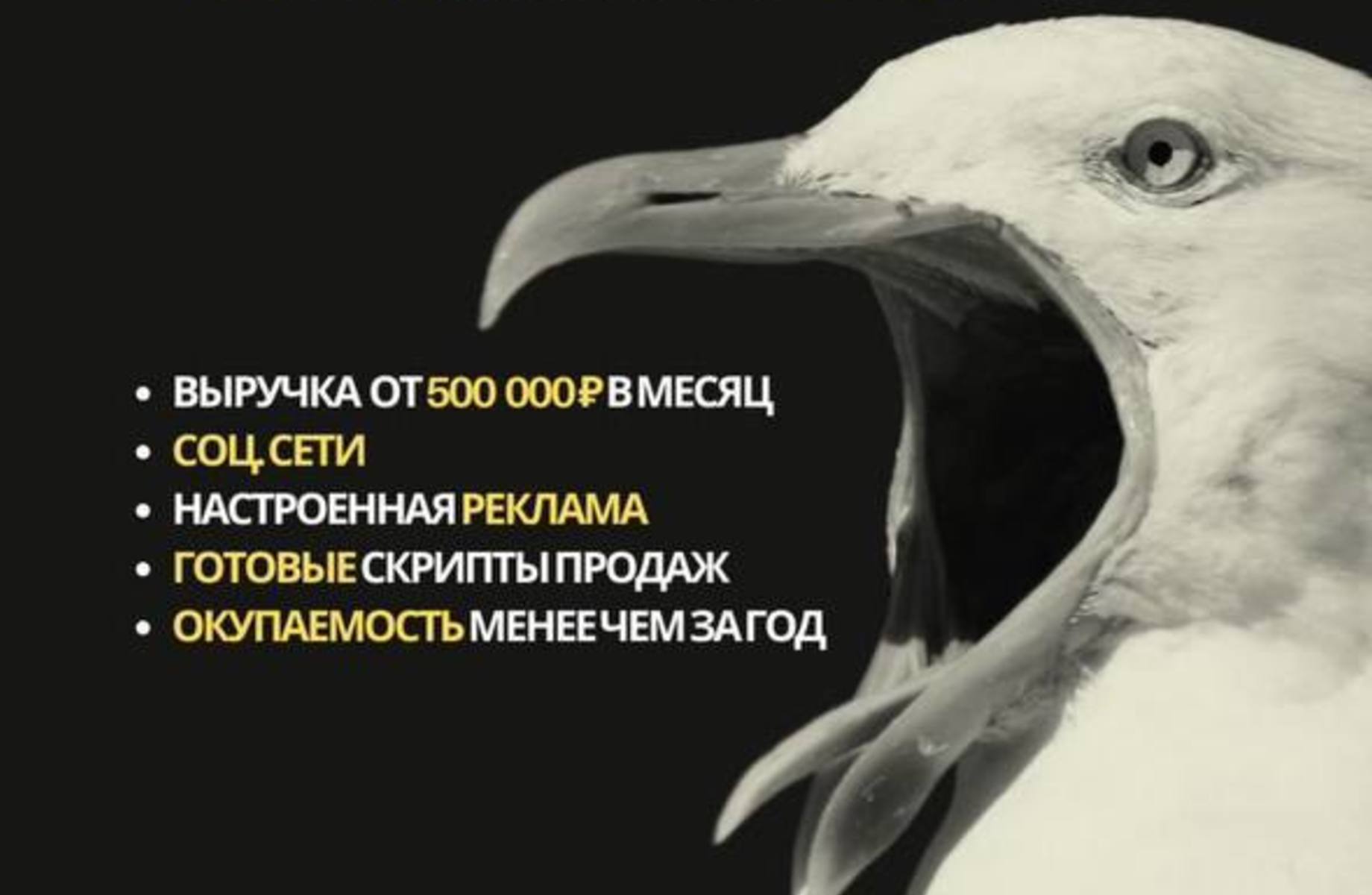 Готовый бизнес: Онлайн киношкола