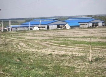 Действующая ферма в Московской области