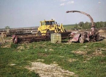 Действующая ферма в Московской области