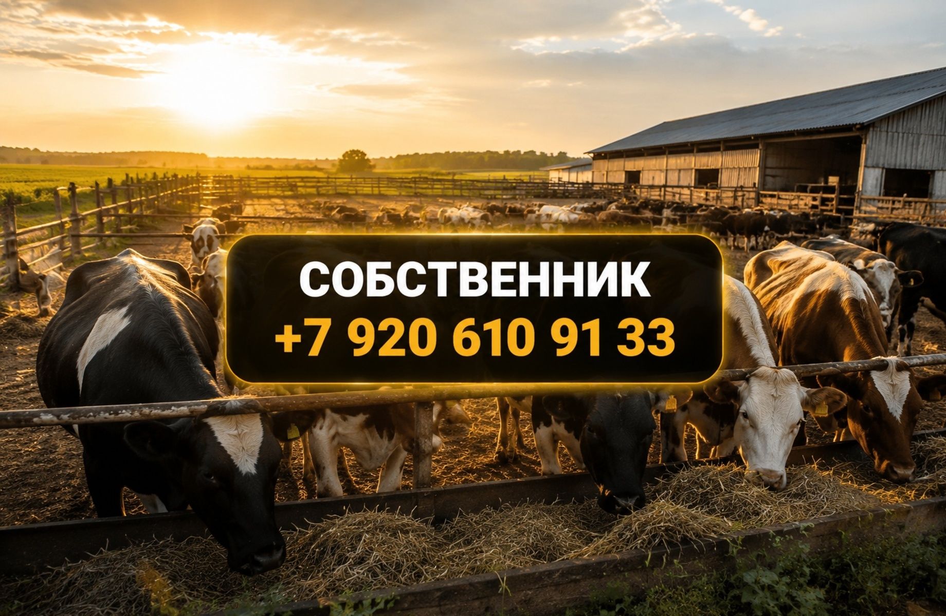 Фото 1 Готовое Фермерское хозяйство| Земля, техника, КРС