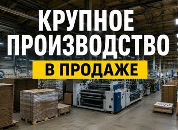 Производство картонной упаковки | Мат. активы на 55 млн 