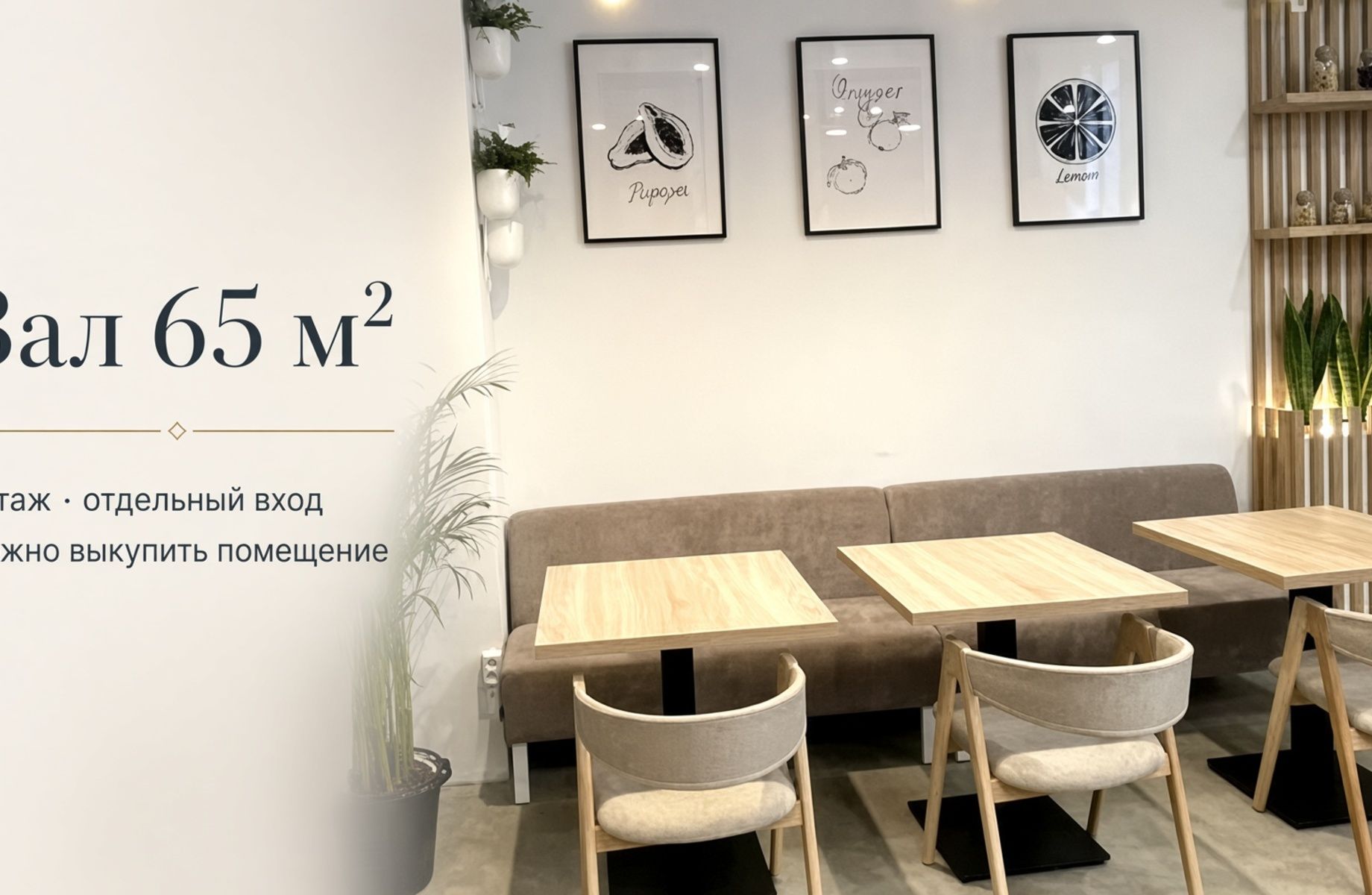 Кафе-пиццерия в Сколково