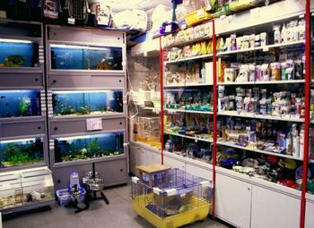 Зоомагазин в Гатчине с большим товарным остатоком