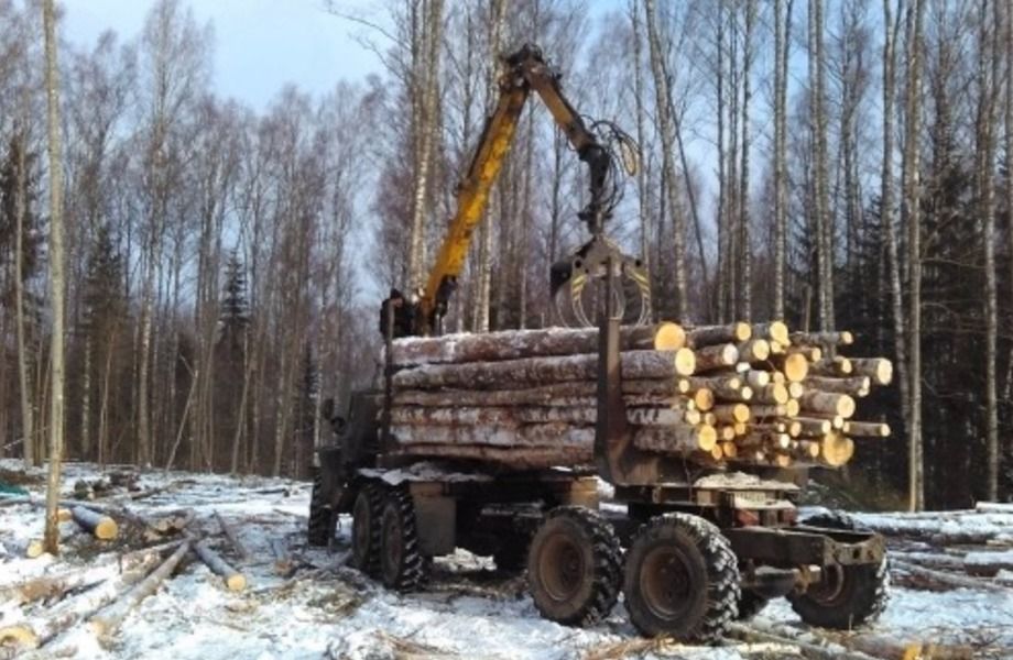 Лесозаготовка