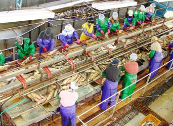 Рыбоперерабатывающий комбинат (9 лет работы)