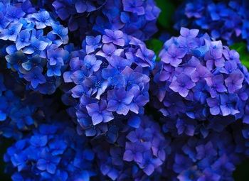 Уникальный флористический бизнес