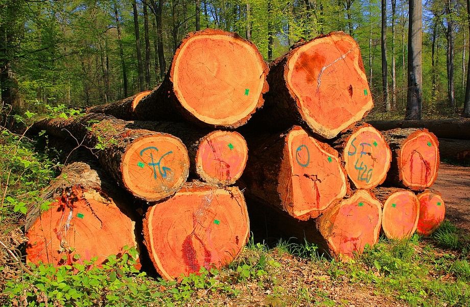 Фото 3 Деревообрабатывающее производство в Киришском районе.