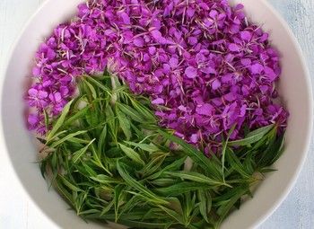 Производство уникального русского напитка Иван-чай