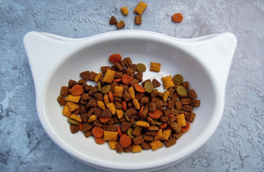 Раскрученный магазин зоотоваров для домашних питомцев