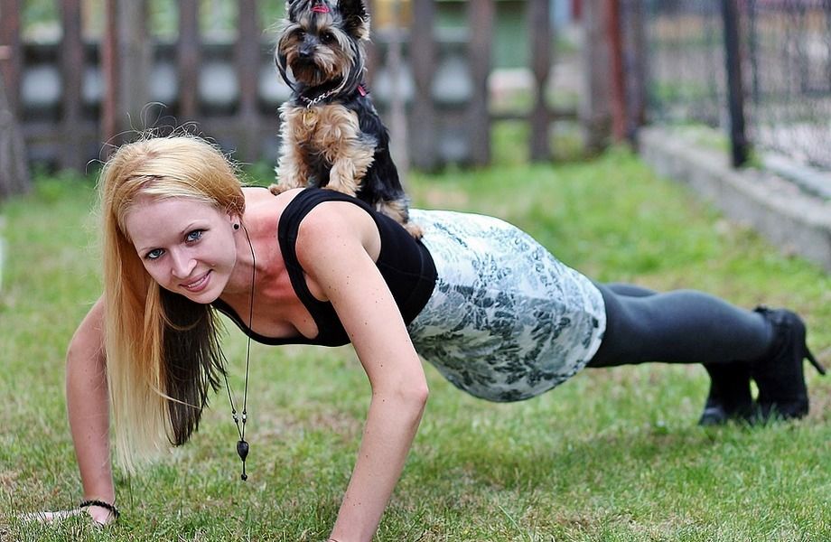 Беговой клуб для собак. Курсинг