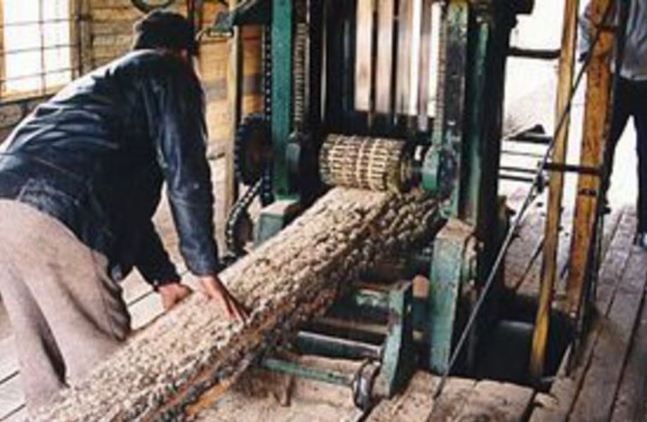 Пилорама с земельным участком в собственность